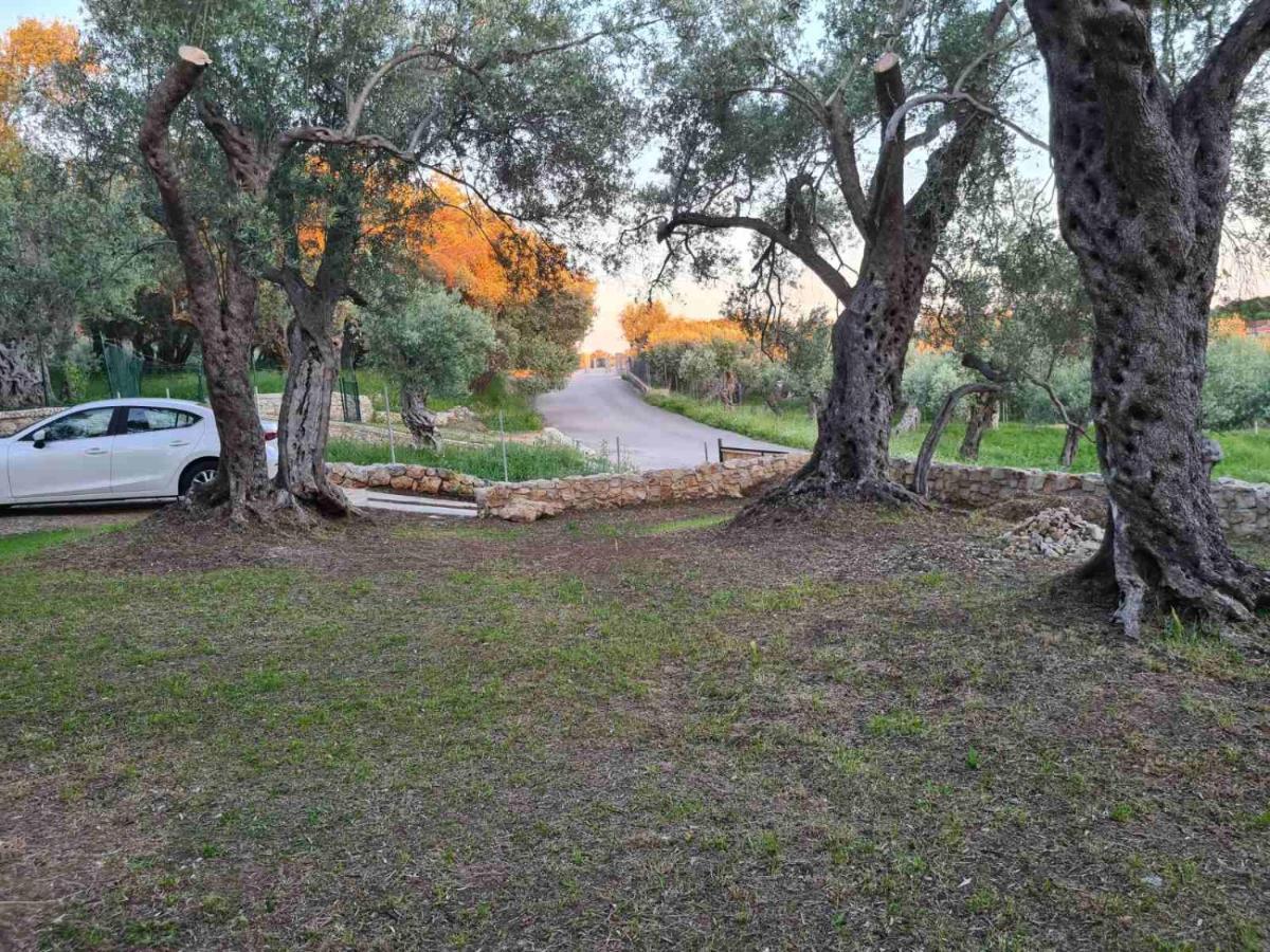 Olea Cottage อุลซิน ภายนอก รูปภาพ
