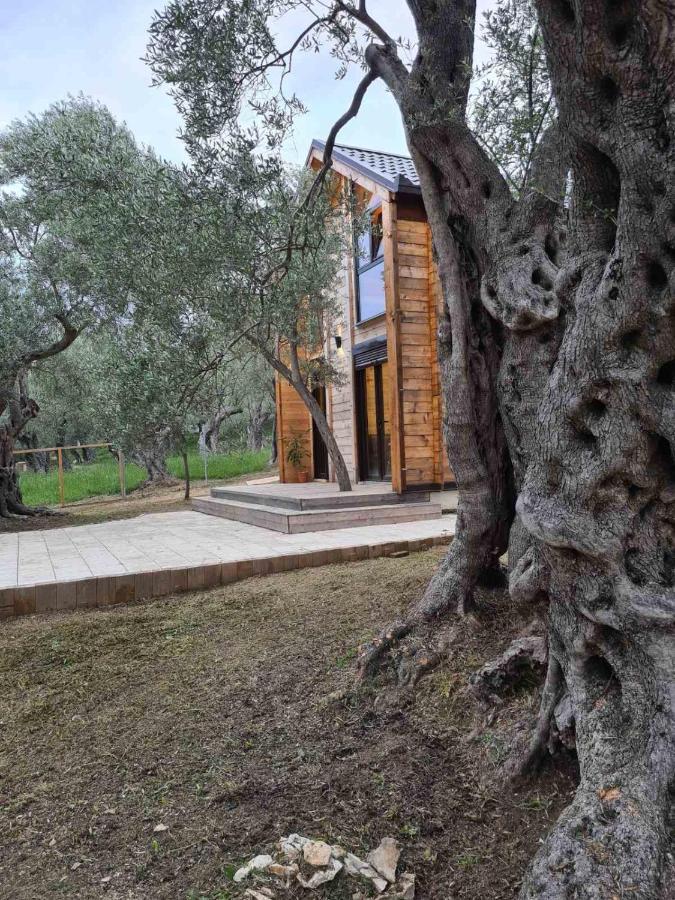 Olea Cottage อุลซิน ภายนอก รูปภาพ