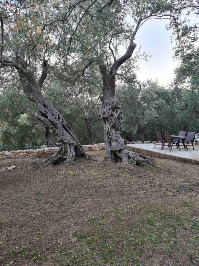 Olea Cottage อุลซิน ภายนอก รูปภาพ